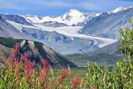 Alaska (41/65)